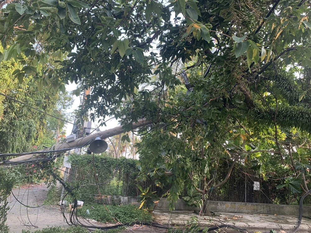 Sau tiếng nổ lớn, trụ điện ngã đổ, hàng trăm hộ dân ở Thủ Đức mất điện ảnh 8 Sau tiếng nổ lớn, trụ điện ngã đổ, hàng trăm hộ dân ở Thủ Đức mất điện ảnh 8