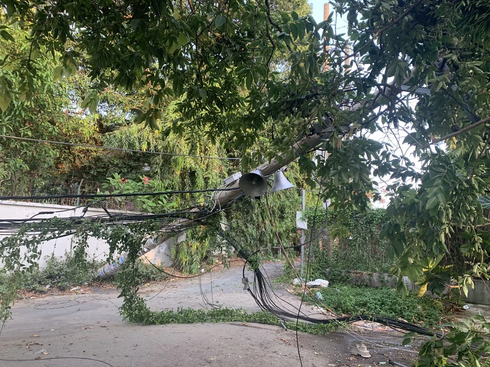 Sau tiếng nổ lớn, trụ điện ngã đổ, hàng trăm hộ dân ở Thủ Đức mất điện ảnh 3 Sau tiếng nổ lớn, trụ điện ngã đổ, hàng trăm hộ dân ở Thủ Đức mất điện ảnh 3