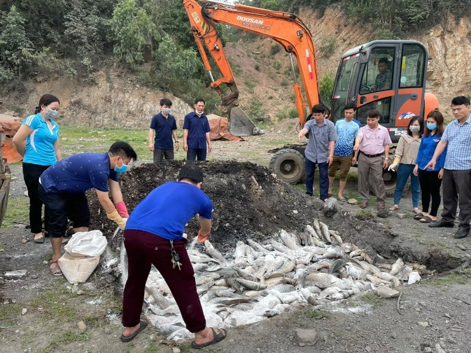 Thanh Hóa: Cá chết bất thường với số lượng hàng chục tấn ảnh 1 Thanh Hóa: Cá chết bất thường với số lượng hàng chục tấn ảnh 1