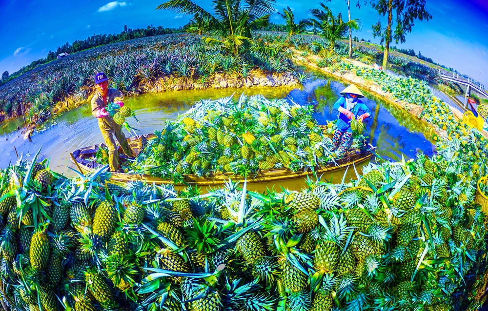Phát triển bền vững ĐBSCL: Chiến lược 8G ảnh 2 Phát triển bền vững ĐBSCL: Chiến lược 8G ảnh 2