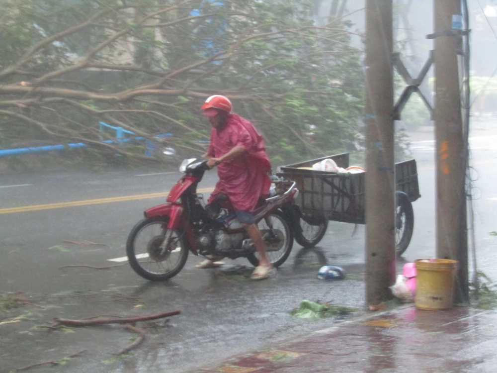 Vũng Tàu mưa lớn, gió giật mạnh, Khánh Hòa - Ninh Thuận ngập lụt, đường sắt tê liệt ảnh 6 Vũng Tàu mưa lớn, gió giật mạnh, Khánh Hòa - Ninh Thuận ngập lụt, đường sắt tê liệt ảnh 6
