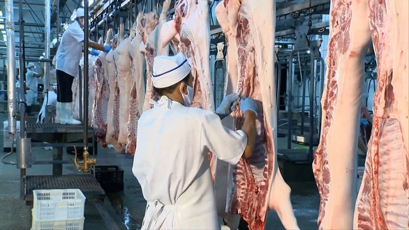Nguồn cung thịt của Vissan chiếm hơn 10% tổng nguồn cung thịt heo cho TPHCM. 