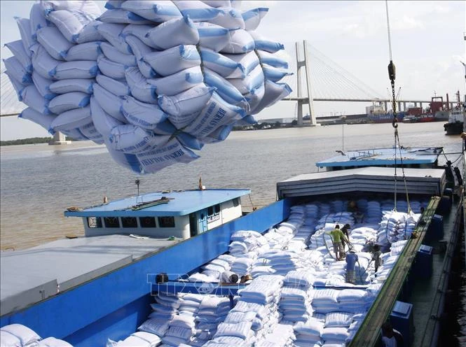 Xuất khẩu gạo dự báo gặp nhiều khó khăn khi hoạt động của các cảng bị hạn chế do dịch Covid-19.