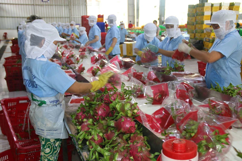 Đề xuất 4 giải pháp hỗ trợ xuất khẩu nông sản sang Trung Quốc