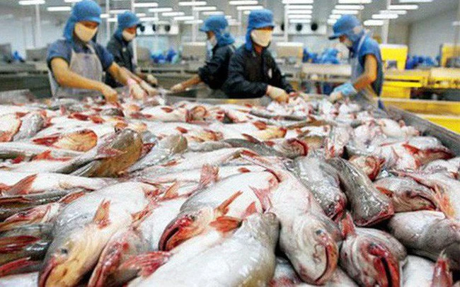 Nỗi lo khủng hoảng lương thực ở EU, cơ hội cho cá tra Việt Nam 