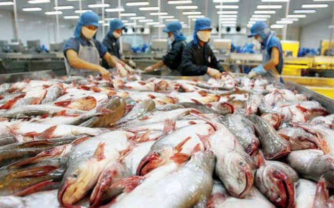 Xuất khẩu cá tra tháng 7 thấp nhất trong 7 tháng đầu năm 