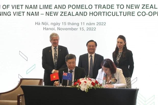 Việt Nam có thêm 2 loại quả được xuất khẩu sang New Zealand 