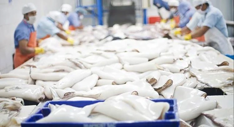 Nhu cầu ổn định từ Hàn Quốc, Nhật Bản là cơ sở tăng trưởng cho xuất khẩu mực, bạch tuộc 