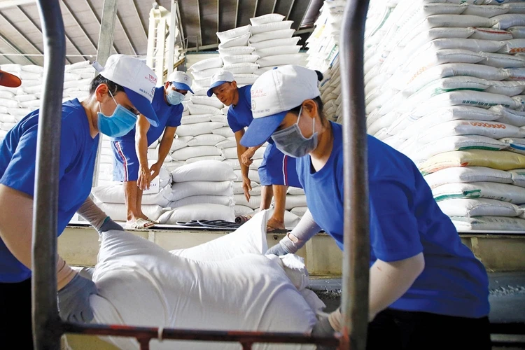Indonesia sẽ nhập khẩu 2 triệu tấn gạo dự trữ, lo doanh nghiệp Việt lỡ cơ hội