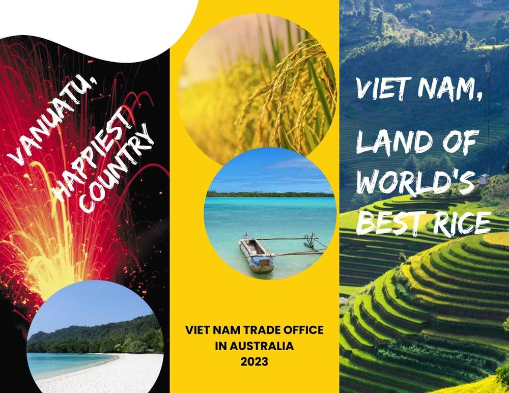 Việt Nam xuất khẩu hàng nghìn tấn gạo ST25 sang Vanuatu