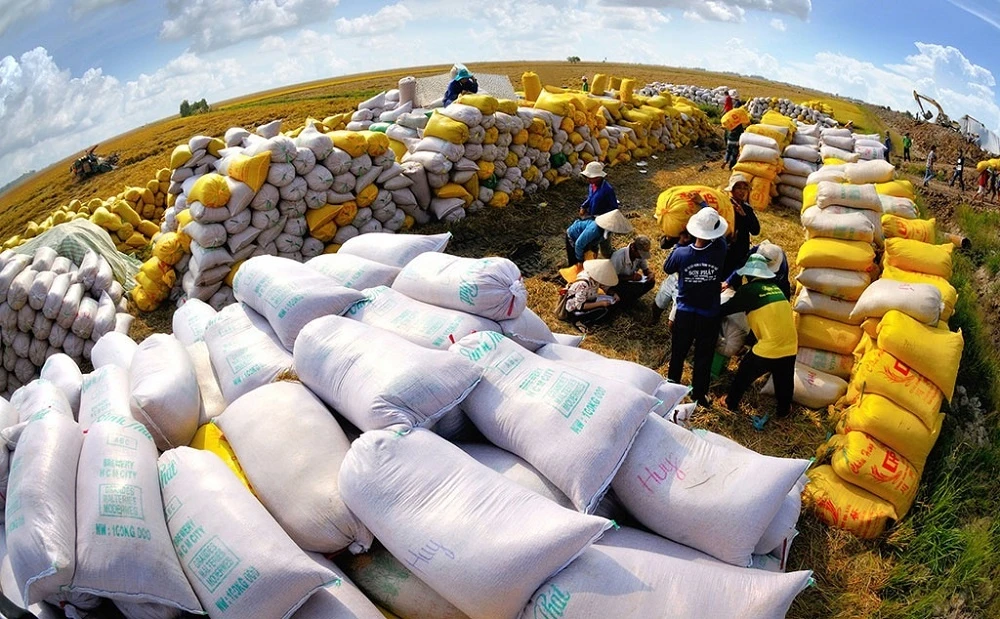 Cả nước có 170 thương nhân đủ điều kiện kinh doanh xuất khẩu gạo 