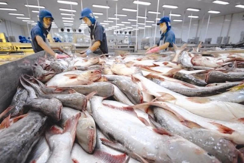 Tháng 11, thủy sản ghi nhận mức tăng trưởng xuất khẩu dương 