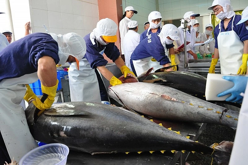 Cá ngừ Việt thất thế trước Thái Lan tại thị trường Trung Đông 