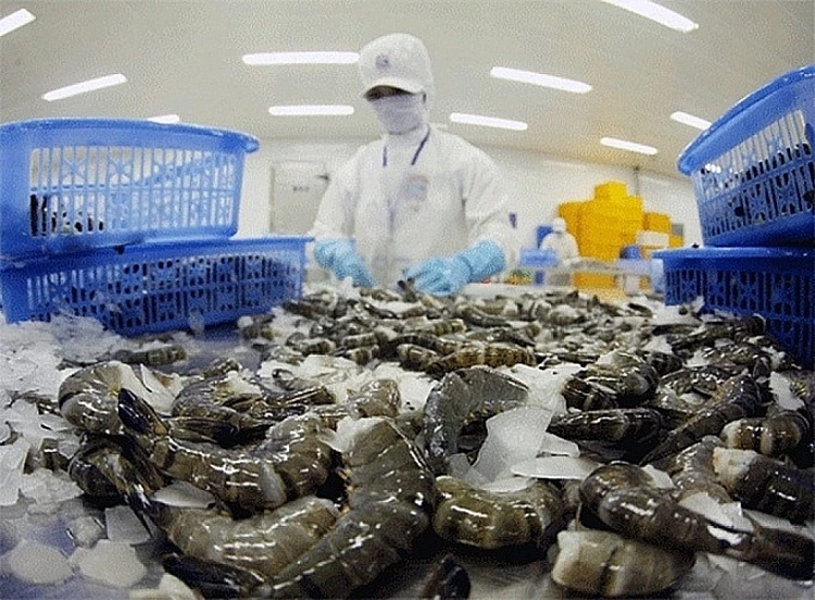 Đối thủ xuất khẩu dính loạt 'bê bối', cơ hội cho tôm Việt? 