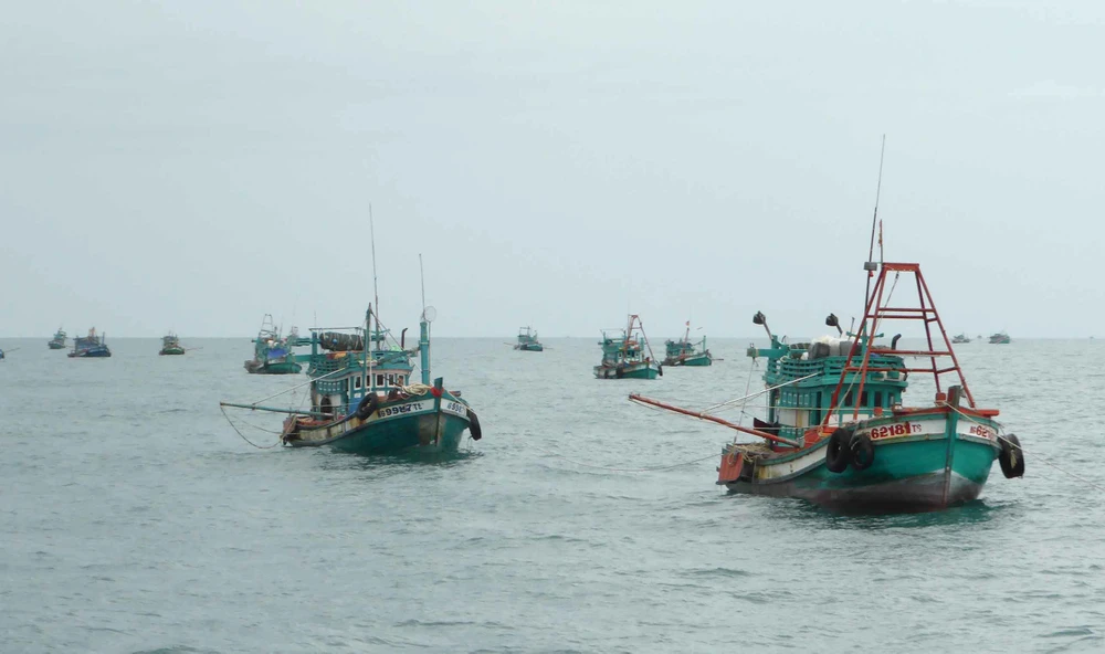 Tàu đánh cá sẽ được dỡ bỏ lệnh cầm biển, tiếp tục vươn khơi. Ảnh: HIỀN TRANG