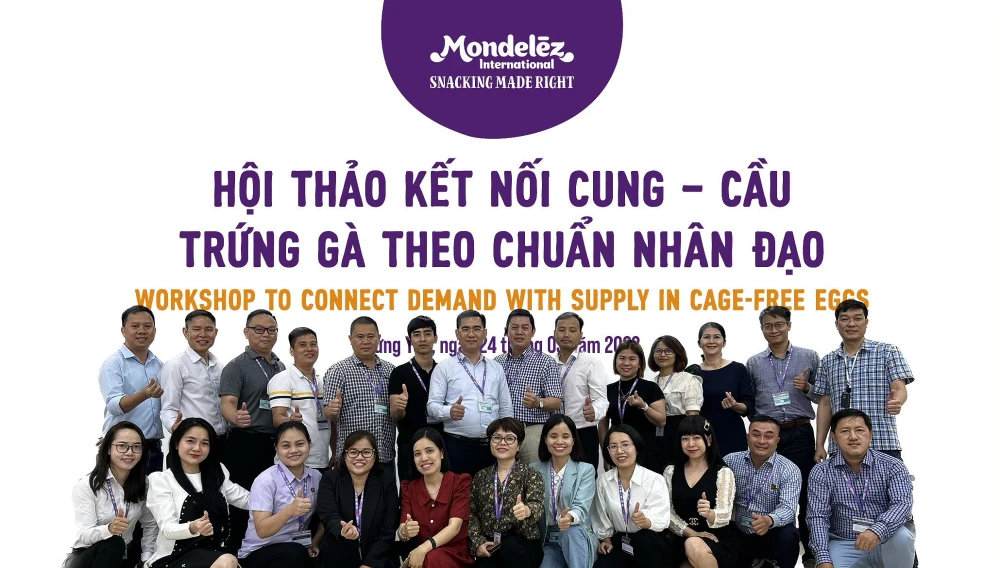 Mondelez Kinh Đô tổ chức “Hội thảo kết nối cung – cầu trứng gà theo chuẩn nhân đạo”