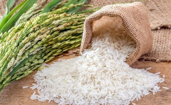 Nâng cao giá trị thương hiệu gạo Việt Nam/VietNam rice