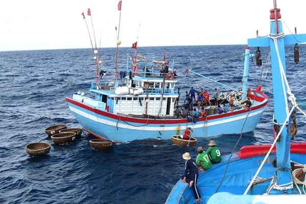 Chính phủ yêu cầu, đến tháng 4-2024: Không được còn tình trạng tàu cá Việt Nam đi khai thác hải sản trái phép
