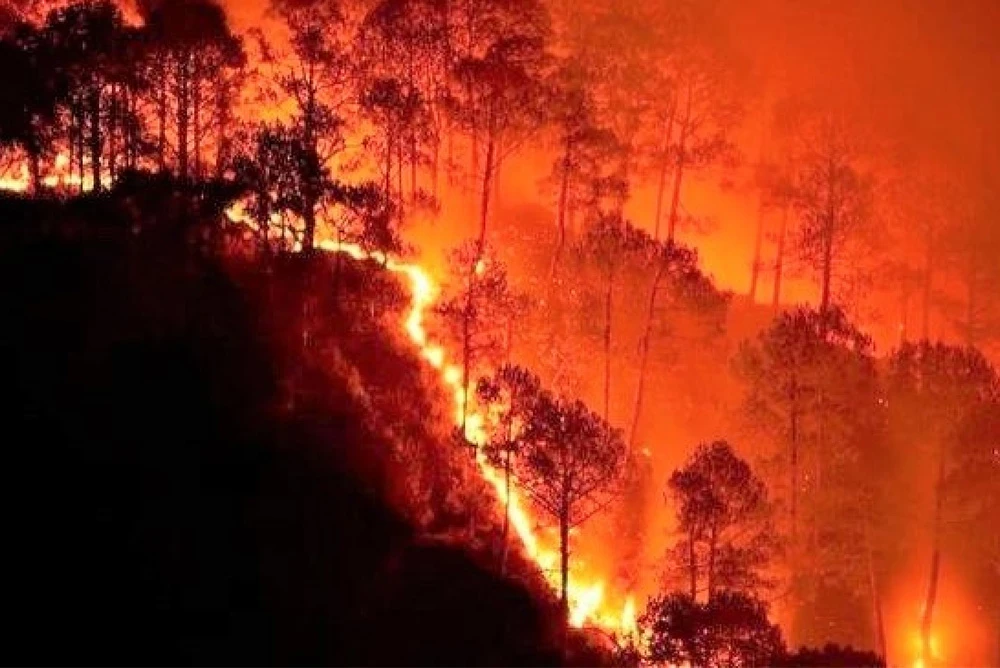 Thủ tướng Chính phủ yêu cầu chủ động, tăng cường các biện pháp cấp bách phòng cháy, chữa cháy rừng