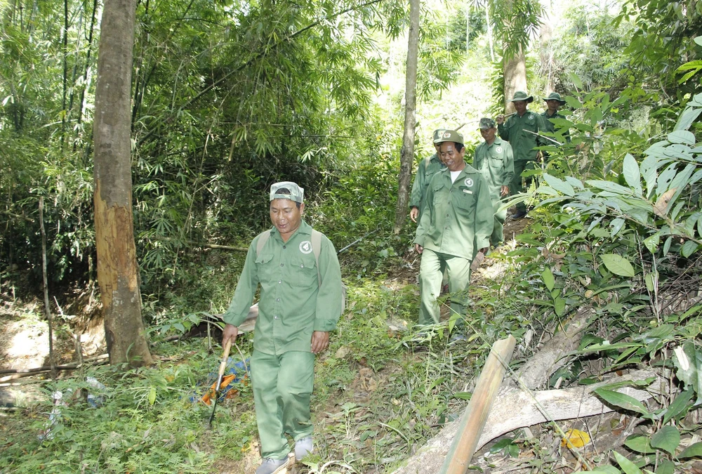 Cộng đồng nhận khoán bảo vệ rừng thôn Bù Dốt, xã Bù Gia Mập, huyện Bù Gia Mập tuần tra rừng đặc dụng Vườn quốc gia Bù Gia Mập