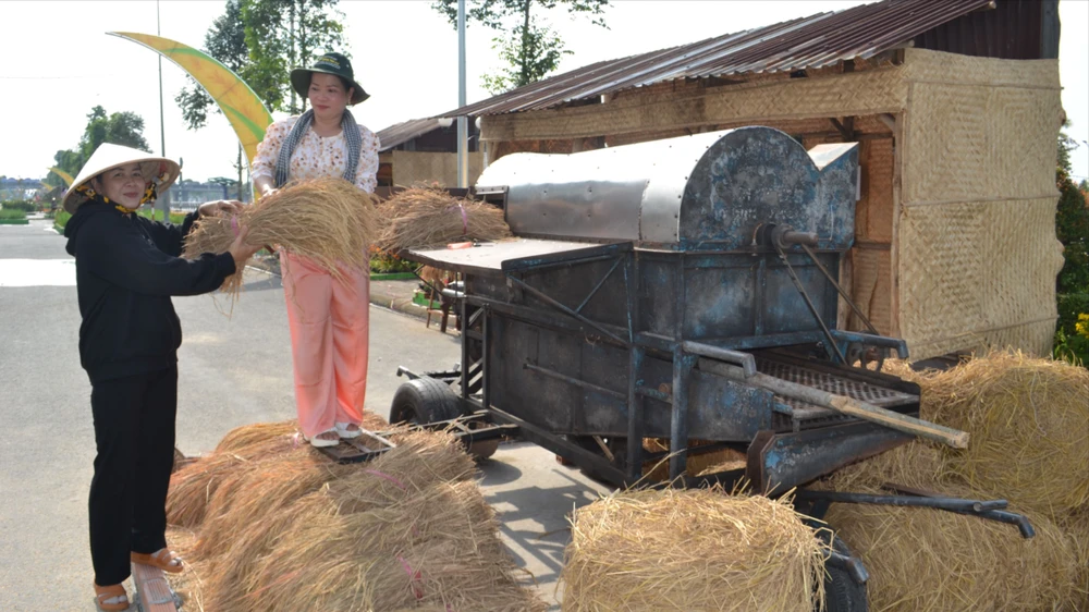 Máy tuốt lúa - một ký ức khó phai của người trồng lúa Nam bộ. Ảnh: CAO PHONG