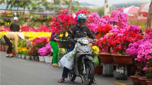 TP Cần Thơ miễn tiền thuê mặt bằng cho tiểu thương tham gia chợ hoa tết 