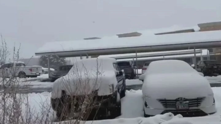 Ảnh chụp màn hình tuyết rơi dày ở New Mexico
