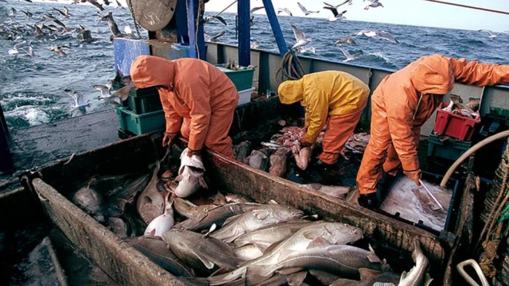 Nga hủy hiệp định cho phép Anh đánh bắt cá ở biển Barents