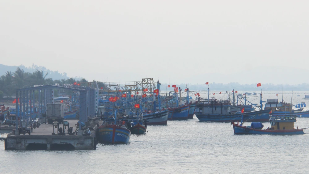 Rà soát thiệt hại sự cố hàng loạt tàu cá mất kết nối trên biển 