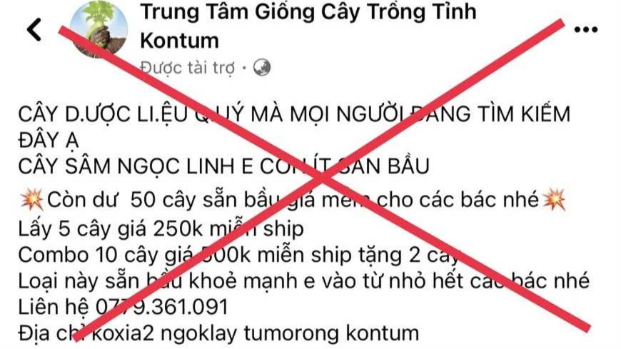 Đối tượng sử dụng mạng xã hội để rao bán sâm giả. Ảnh: CA