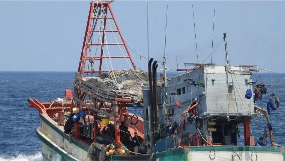 Tạm thu hồi giấy phép 190 tàu cá có nguy cơ vi phạm quy định IUU