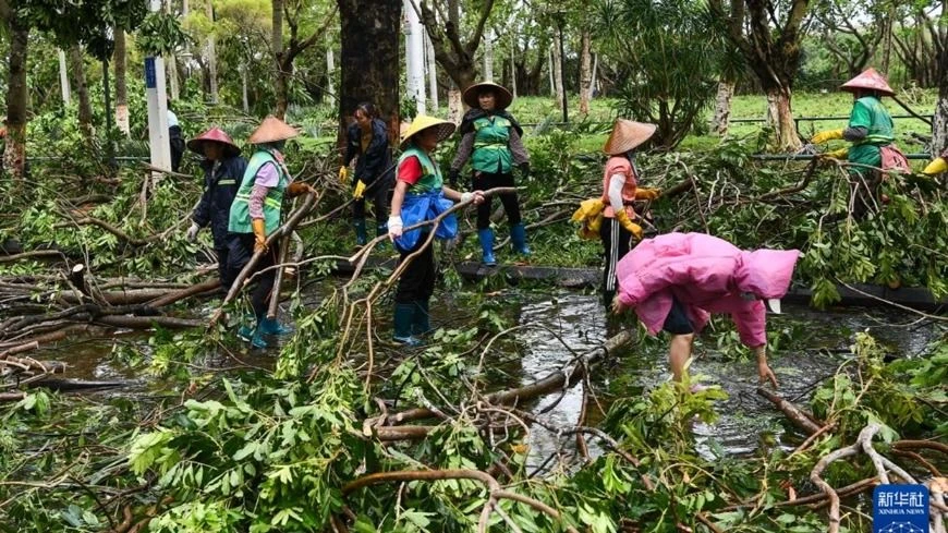  Công nhân vệ sinh dọn dẹp cành cây bị gãy trên đường Tân Hải thành phố Hải Khẩu ngày 7-9. Ảnh: Tân Hoa xã