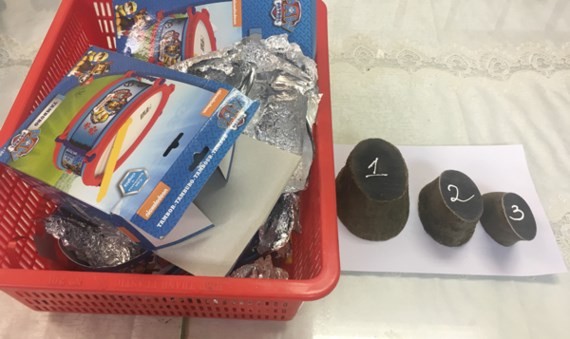 Pieces of rhino horns are seized at Tan Son Nhat Airport (Photo: SGGP)