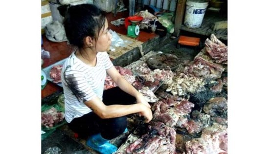 Do Thi Xuyen and her pork after Dung and Hoa splash sewaage water and lubricant into (Photo: SGGP)