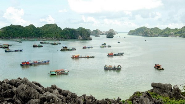 Lan Ha Bay in Cat Ba town (Source: VNA)