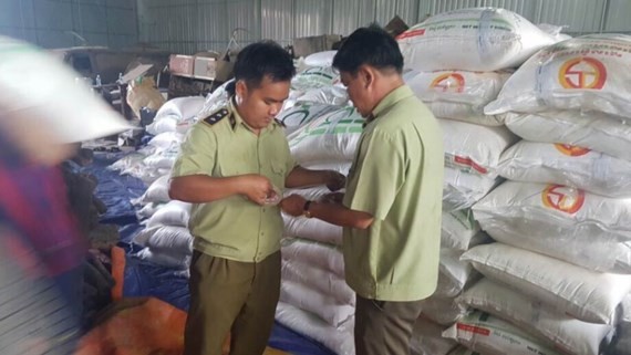 Inspectors are chacking the amount of smuggled sugar (Photo: SGGP)