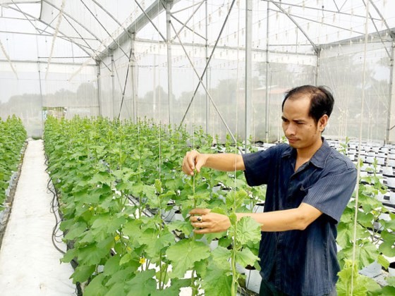 Google support Vietnamese farmers by teaching them to use internet (Photo: SGGP)