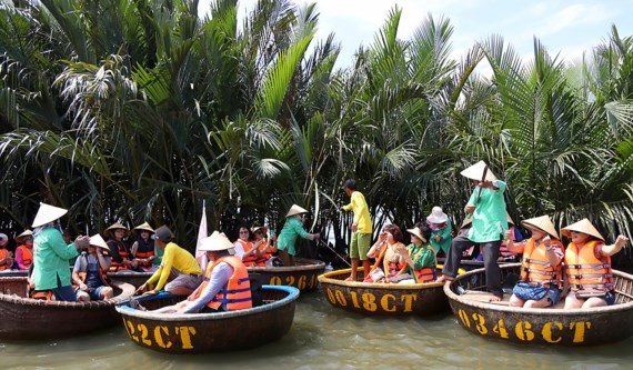 Hot tourism development devastates Bay Mau coconut forest in Quang Nam province (Photo: SGGP)