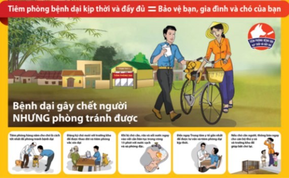 A poster calls for rabies prevention (Photo: SGGP)