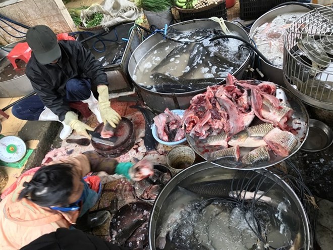 Fish sold at Hanoi’s Dong Xuan Market. (Source: VNA)