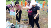 Tree planting campaign launched to save environment
