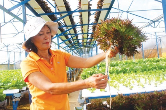 Thirty agricultural projects enter final round