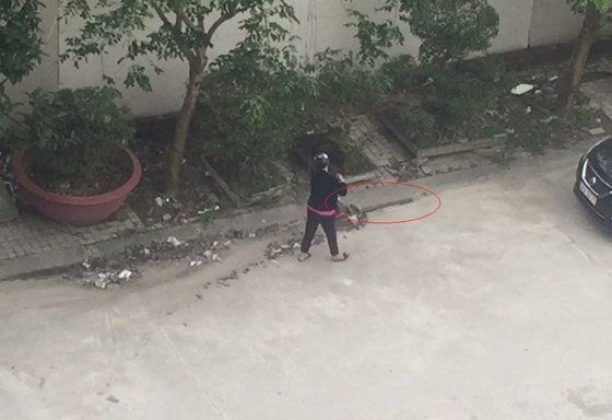 Nghe An woman receives administrative fine for sweeping trash down sewer