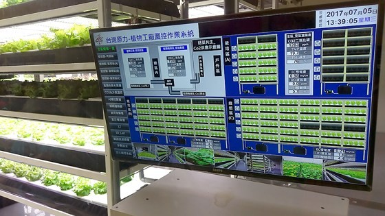 The system to monitor the development of a vegetable farm, implementing IoT in agriculture with Taiwanese technologies(Photo: SGGP) 