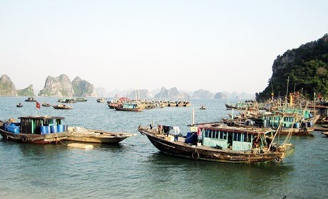 Over-fishing is fast depleting Quảng Ninh’s marine resources, but the northern province has not been able to tackle it effectively. (Photo baoquangninh.vn)