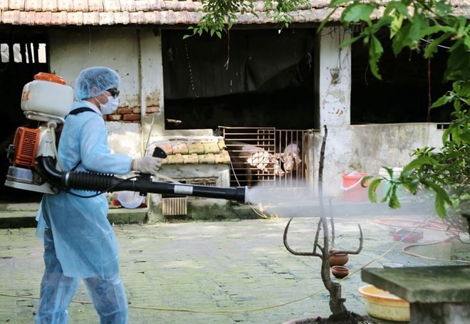 A medical worker is spraying chemical to prevent dengue fever (Photo: VNA)