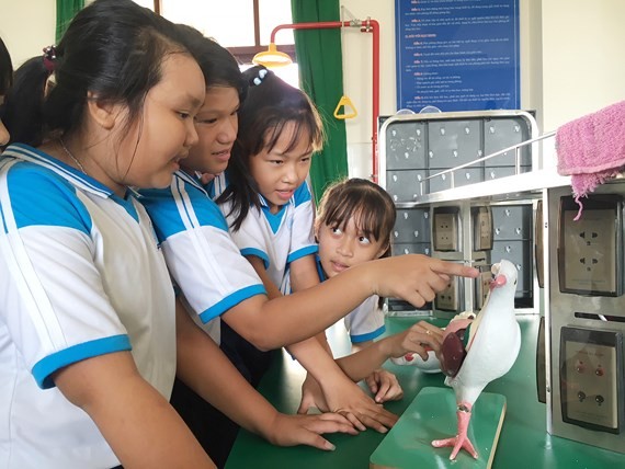 Students of Thanh An Junior High SChool in the lab (Photo: SGGP)