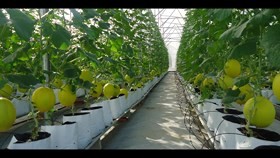 Only 1.6 percent of farms adopt hi-tech