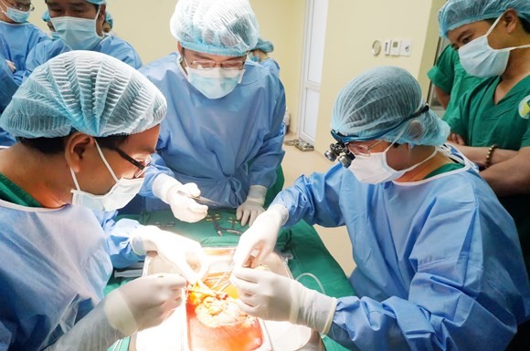 First private hospital in HCMC succeeds in kidney transplant