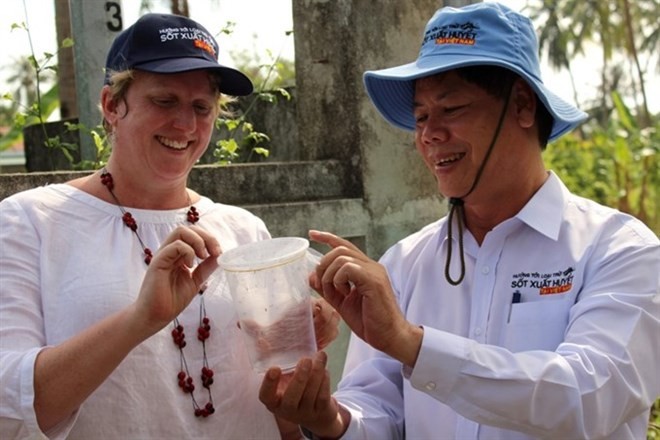 Vietnamese and Australian experts release anti-dengue mosquitoes in Nha Trang (Photo: VNA)